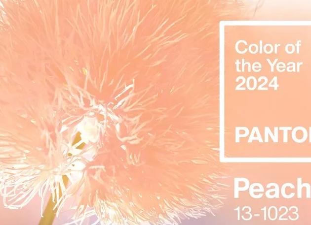 Главный цвет 2024 года Pantone: оттенок, который вас точно удивит.